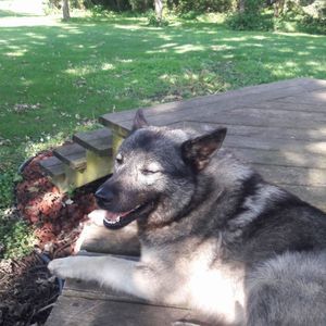 Meet your Posher, Janell